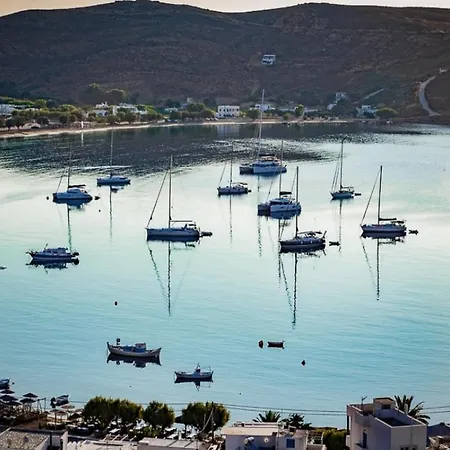 Bird's-eye View *